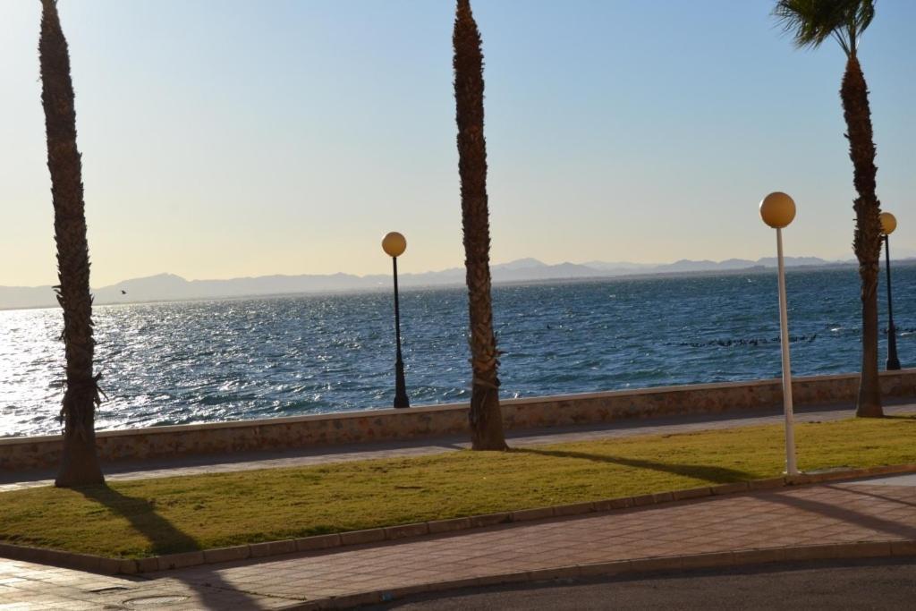 Apartamentos Turisticos Puerto Tomas Maestre Λα Μάνγκα Δελ Μαρ Μενόρ Δωμάτιο φωτογραφία